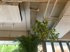 -the rug 飞毯 (朝阳公园店)