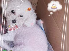 -宠颐生动物医院·小陆分院