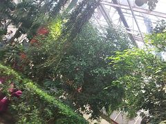 -天宫南铂玫瑰园酒店