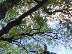 -白帝城·瞿塘峡景区