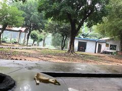 -仙湖旅游度假区