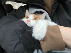 -瑞鹏宠物医院·爱宠堂(环西分院)