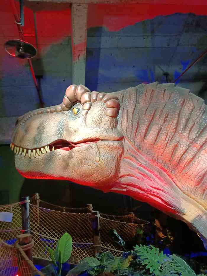 恐龙探索乐园(磁器口店)-"【印象】项目有特色 | 服务热情地方比.