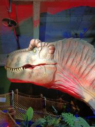 -恐龙探索乐园(磁器口店)