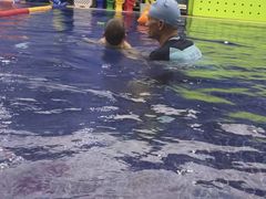 -龙格亲子游泳·水育早教运动中心(绿宝中心)