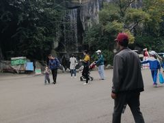-昆明动物园