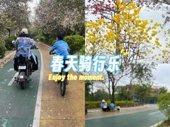 -王借岗森林公园