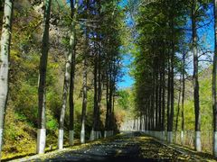 -乌龙峡谷景区