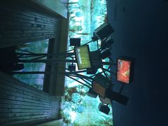 iphone_upload_pic-溱湖国家湿地公园