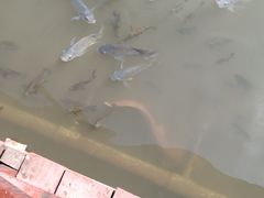 -金穗园温泉酒店