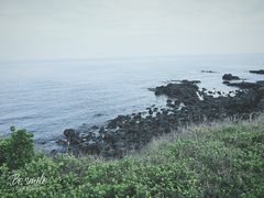 -涉地可支