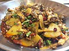 子姜蛙-呱呱兔庄