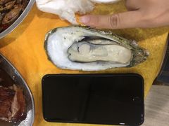 -蚝专家(北滘店)