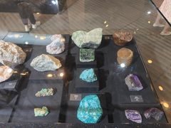 -烟台自然博物馆