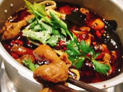 肥肠-晓彭肥肠鸡·泡椒鸡火锅(水木天地店)