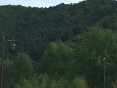 -照金红色旅游名镇