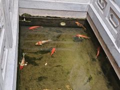 -鲤院·新中式美学·庭院餐厅(夫子庙店)