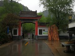 -王顺山国家森林公园