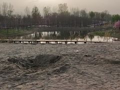 -东郊湿地公园