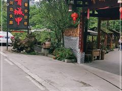 -青城甲(青城山店)