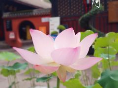 -成都市文殊院