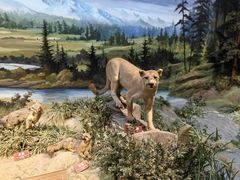 -陕西自然博物馆