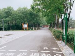 -东郊湿地公园