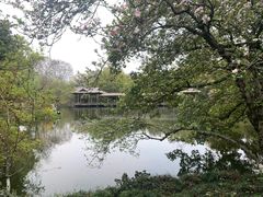 -西湖外事游船(花港观鱼码头)