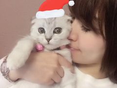 -1013 PET SHOP 宠物商店(近铁城市广场店)