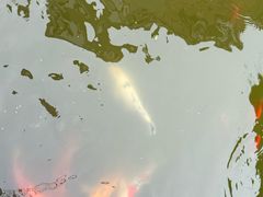 -金砂公园