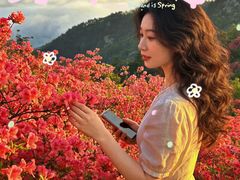 -木兰云雾山