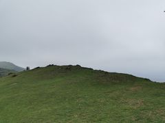 -大姆山草场