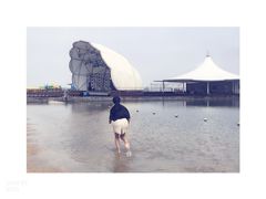 -碧海金沙