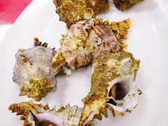 白灼海螺-红海湾豪记海鲜大排档