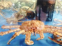 -盒马鲜生(皇庭广场店)