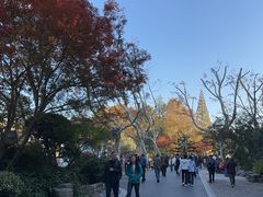 -莹珠阁·私房菜