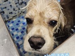 -FAELING PETS美天灵宠物(富力广场店)