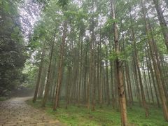 -小格里自然风景区