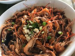 -马陆小张葡萄园农家乐