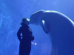 -多彩贵州城极地海洋世界