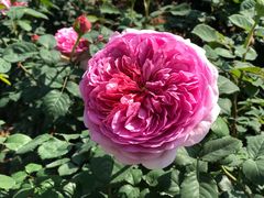 -人民公园(罗湖区)