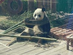 -大连森林动物园