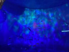 -安徽省地质博物馆