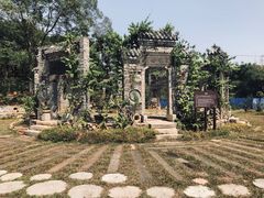-老木棉·匠园