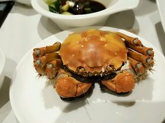 -王宝和酒家(黄浦店)