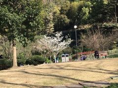 -杭州黄龙洞