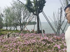 -晓琦农家菜馆·地道农家菜