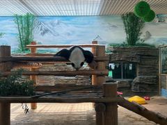 -西霞口神雕山野生动物世界