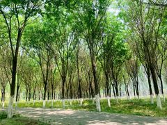 -东郊湿地公园