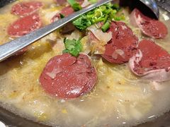 -鸽子窝(青塔店)
